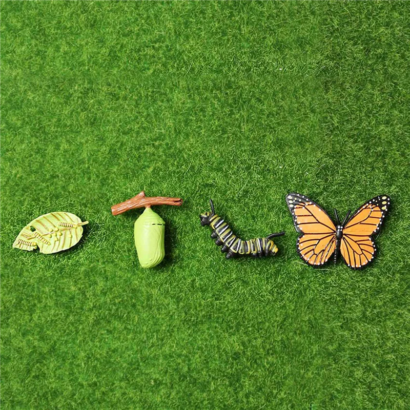 ODIES-2X Simulation Life Cycle Figurine Of A Monarch Butterfly Growth Cycle Insect Animals Educational Biology Science