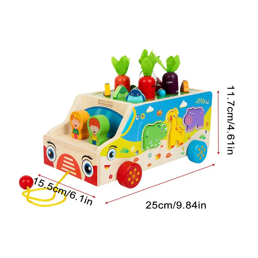 Montessori Carrots Sorting Board Carrot Harvest Shape Sorting Game Wooden Activity Cube Matching Puzzle Box for Early Learning