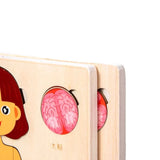 Montessori Puzzles Busy Board Human Body Teaching Learning Body Parts For Children Early Education Games Toddlers Quiet Books