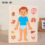 Montessori Puzzles Busy Board Human Body Teaching Learning Body Parts For Children Early Education Games Toddlers Quiet Books