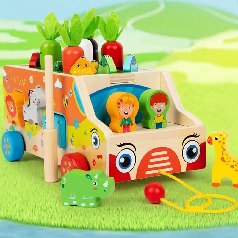 Montessori Carrots Sorting Board Carrot Harvest Shape Sorting Game Wooden Activity Cube Matching Puzzle Box for Early Learning