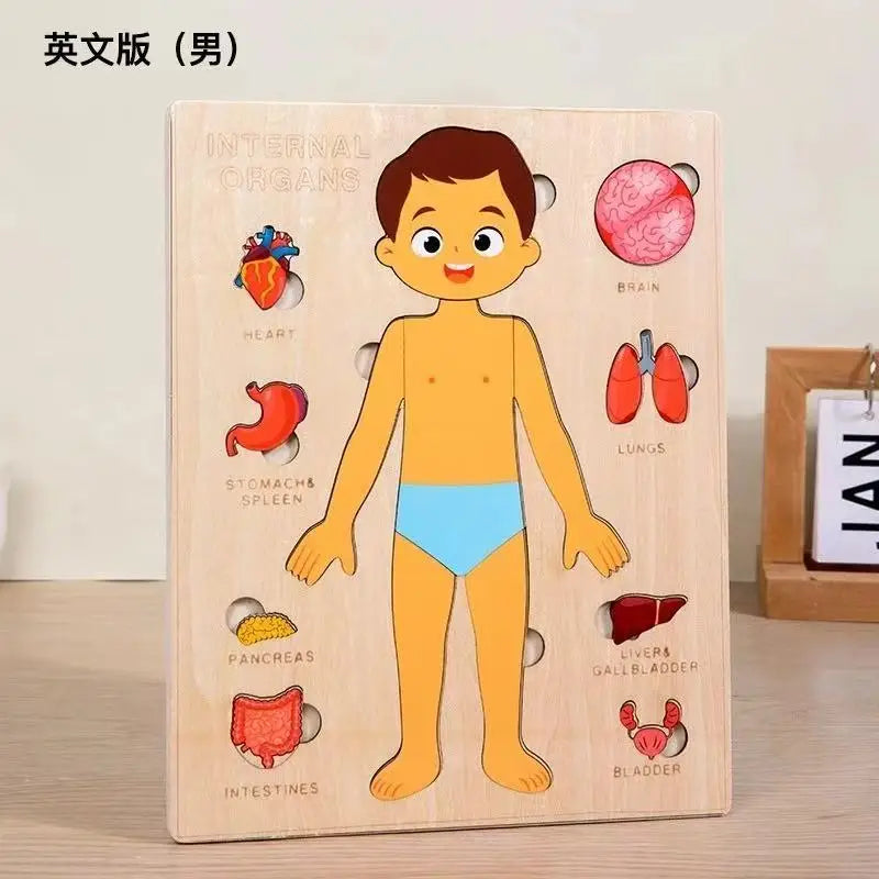 Montessori Puzzles Busy Board Human Body Teaching Learning Body Parts For Children Early Education Games Toddlers Quiet Books