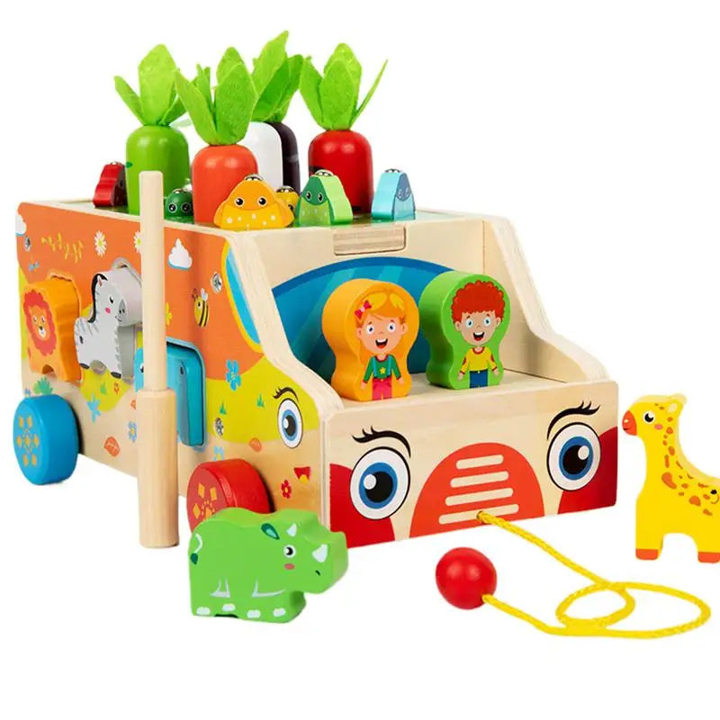 Montessori Carrots Sorting Board Carrot Harvest Shape Sorting Game Wooden Activity Cube Matching Puzzle Box for Early Learning