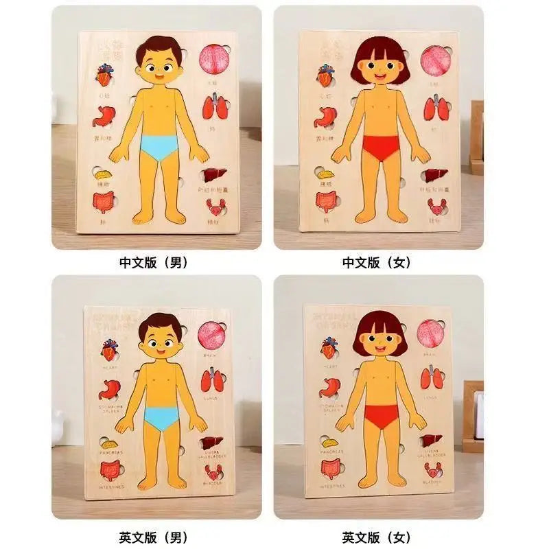 Montessori Puzzles Busy Board Human Body Teaching Learning Body Parts For Children Early Education Games Toddlers Quiet Books