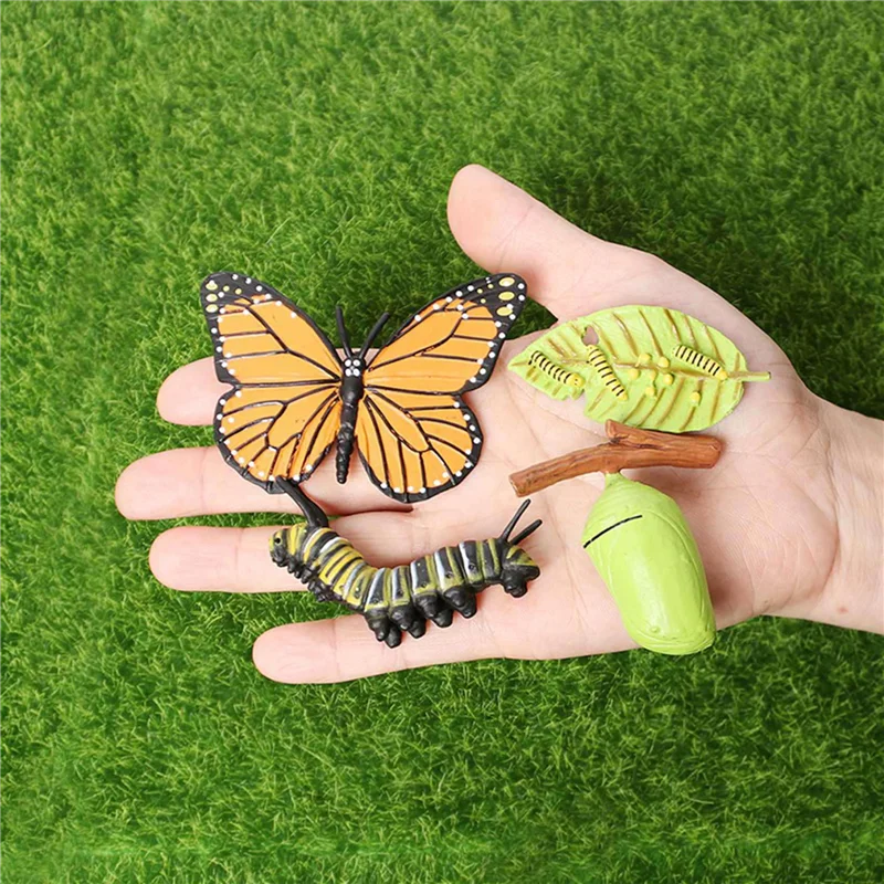 ODIES-2X Simulation Life Cycle Figurine Of A Monarch Butterfly Growth Cycle Insect Animals Educational Biology Science
