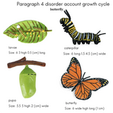 ODIES-2X Simulation Life Cycle Figurine Of A Monarch Butterfly Growth Cycle Insect Animals Educational Biology Science