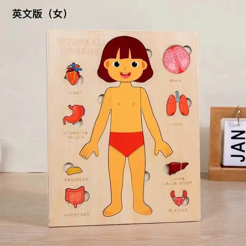 Montessori Puzzles Busy Board Human Body Teaching Learning Body Parts For Children Early Education Games Toddlers Quiet Books