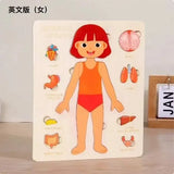 Montessori Puzzles Busy Board Human Body Teaching Learning Body Parts For Children Early Education Games Toddlers Quiet Books