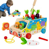 Montessori Carrots Sorting Board Carrot Harvest Shape Sorting Game Wooden Activity Cube Matching Puzzle Box for Early Learning