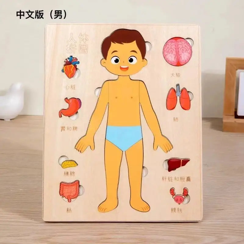 Montessori Puzzles Busy Board Human Body Teaching Learning Body Parts For Children Early Education Games Toddlers Quiet Books