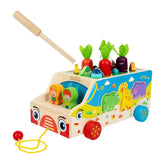 Montessori Carrots Sorting Board Carrot Harvest Shape Sorting Game Wooden Activity Cube Matching Puzzle Box for Early Learning