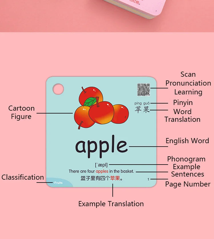 Montessori Educational Flash Cards 600 Cognitive Learning Cards Kids Discover Animal Shapes Colors Fun Toys Gifts Children's