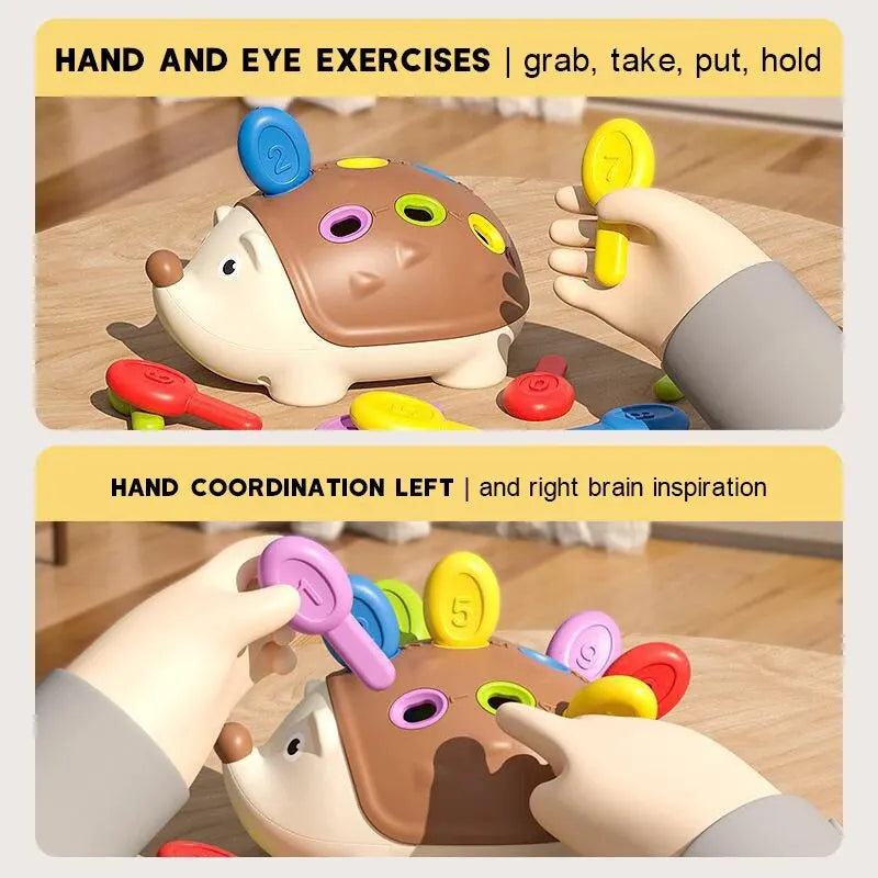 Hedgehog Montessori Toy