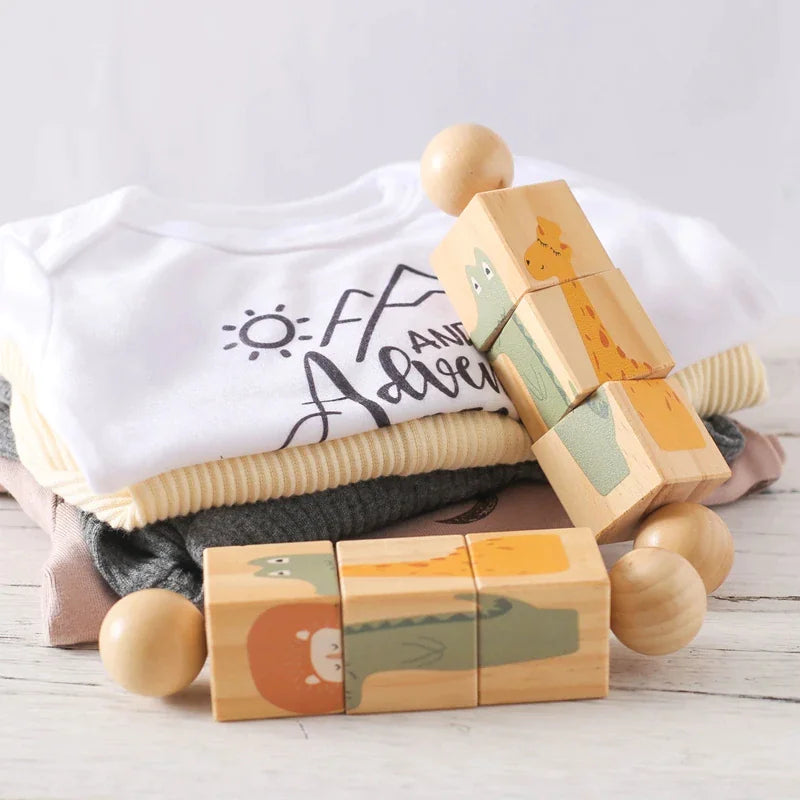 Wooden Rotating Animal Matching Toy