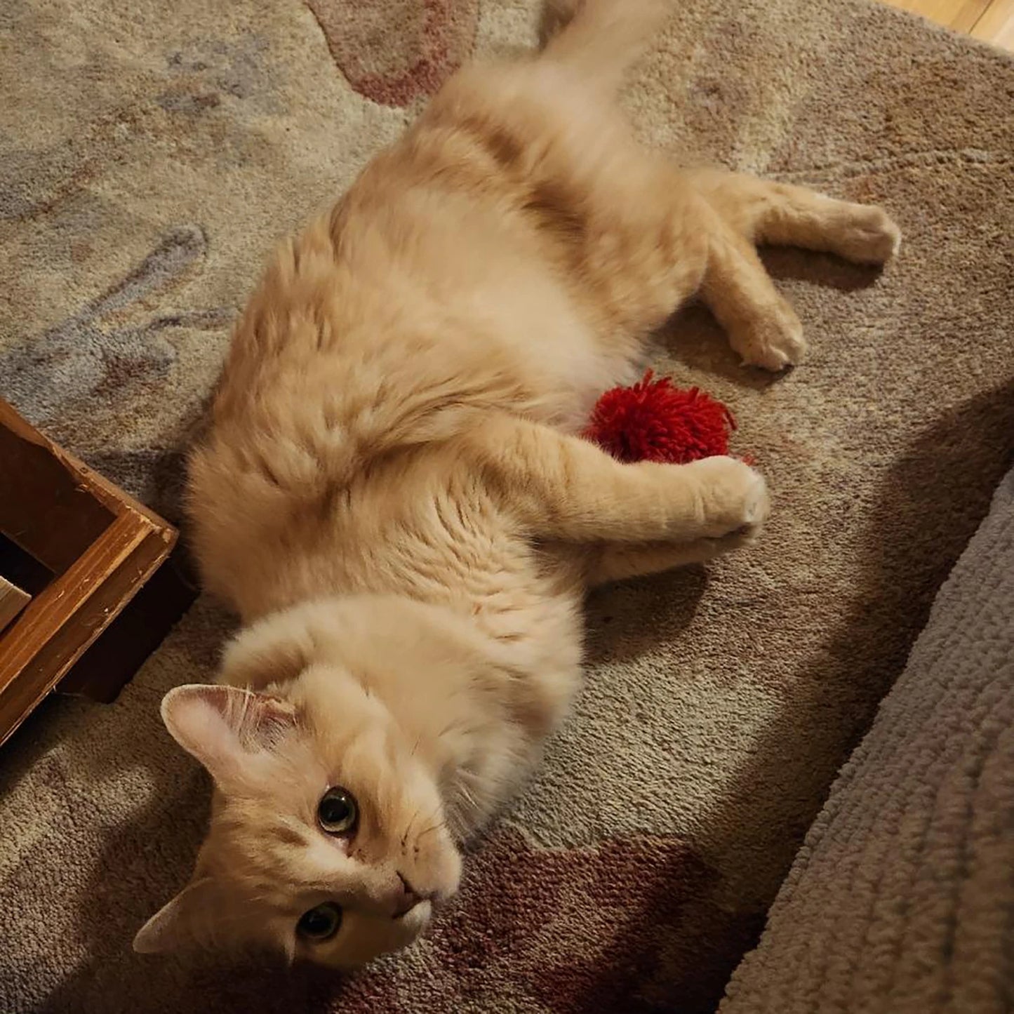 10Pcs Large Yarn Pom Poms for Crafts Acrylic Yarn Balls Fuzzy Pompoms DIY Pom Pom Balls for Hats Handmade Arts Holiday Party