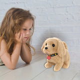 Baby Soft with Music h Electronic Interactive Puppy Walking Barking Tail Wagging Stretching Companion Animal Suitable For