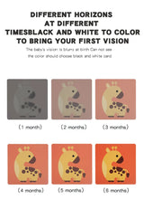 Flash Cards Baby Visual Stimulation Cards for Toddlers Sensory Development Early Education Learning Toys For Newborn Funny Gifts