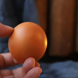 Fun Shibako Dog Egg Squishy Fidget Toy Realistic Egg Shape Desk Decor Shiba Inu Dog & Egg Union PU Slow Rebound Sensory Toy