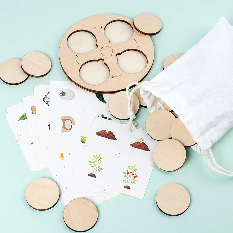 Life Cycle Board Montessori Kit Biology Science Education For Kids Sensory Tray Animal Figure Life Cycle Sorting Christmas gift