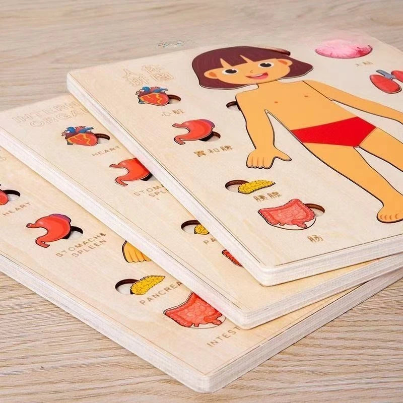 Montessori Puzzles Busy Board Human Body Teaching Learning Body Parts For Children Early Education Games Toddlers Quiet Books