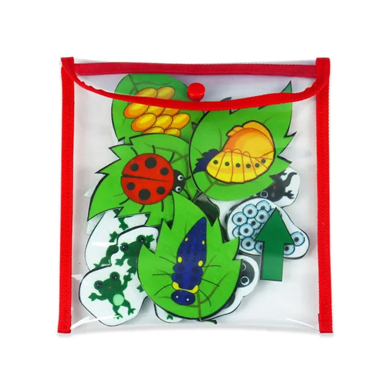 Montessori Material Animal Life Cycle Kids Toys Growth Cycle Set Life Science Early Educational Felt Toys Preschool Teaching Aid