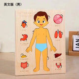 Montessori Puzzles Busy Board Human Body Teaching Learning Body Parts For Children Early Education Games Toddlers Quiet Books