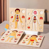 Montessori Puzzles Busy Board Human Body Teaching Learning Body Parts For Children Early Education Games Toddlers Quiet Books